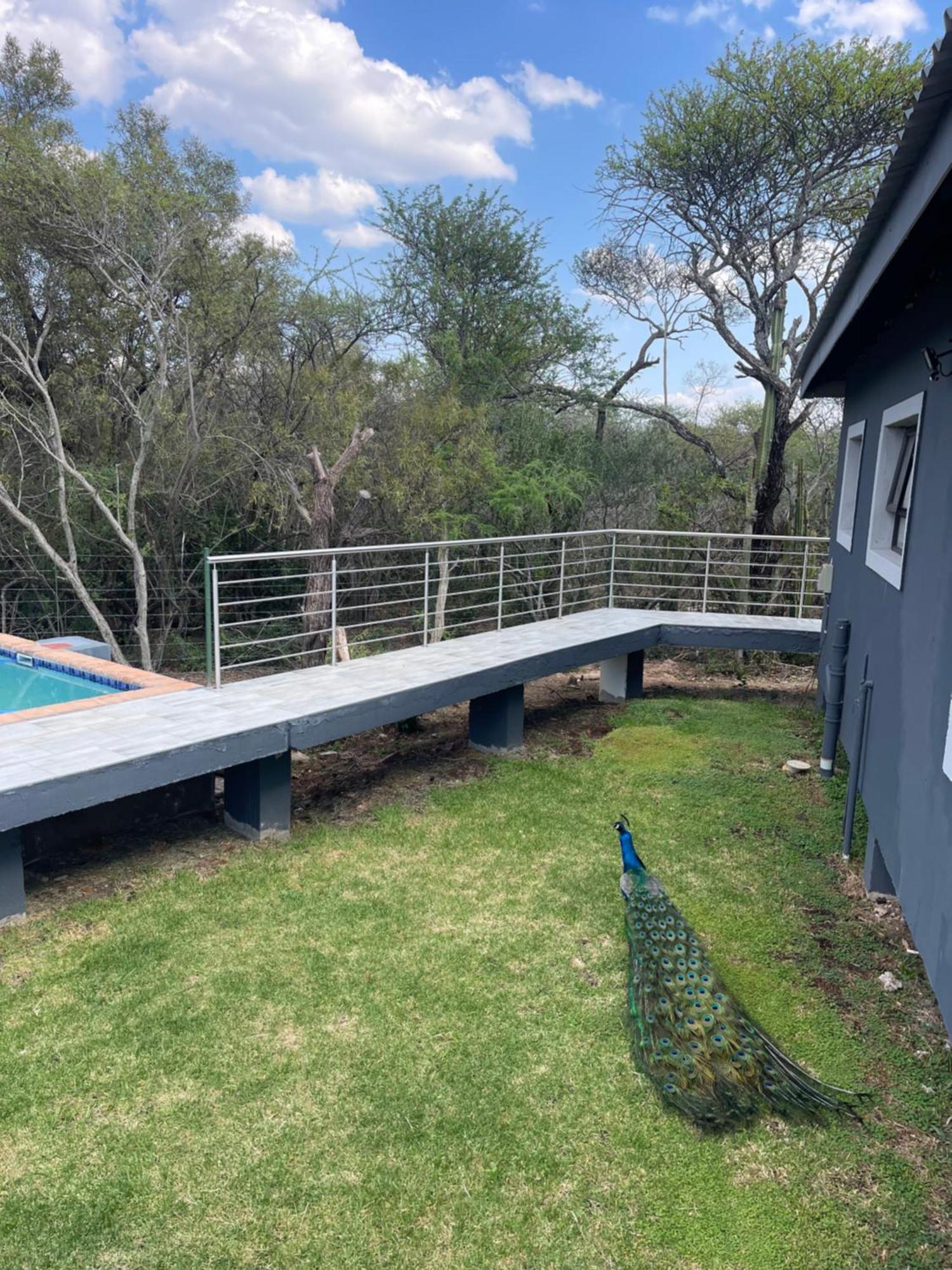 Kings View Exclusive Villas Pretoria-Noord Extérieur photo